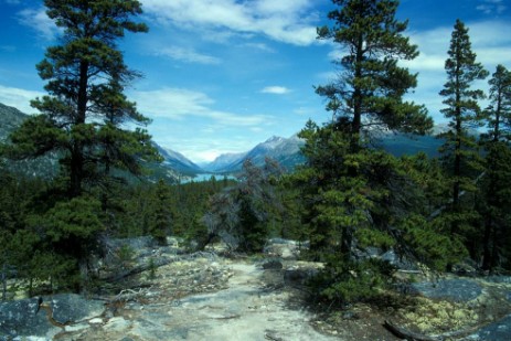 Letzter Abschnitt des Chilkoot Trail