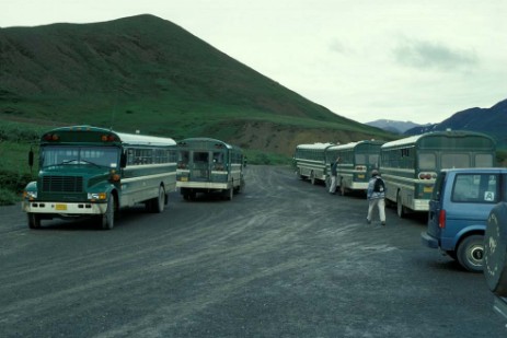 Denali Nationalpark Busse