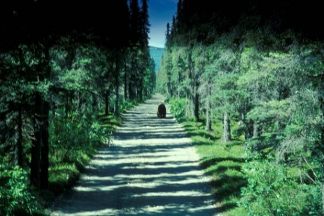 Katmai Nationalpark